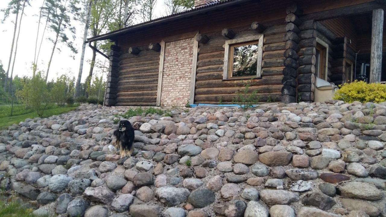 Ermine * Sigulda